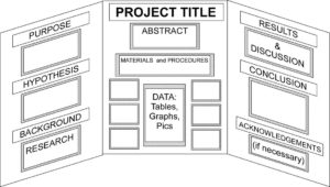 Science Fair Board : A Guide to the Board - Science Fair Projects