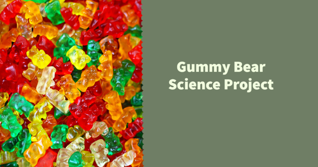 Gummy Bear Science Project - Science Fair Projects