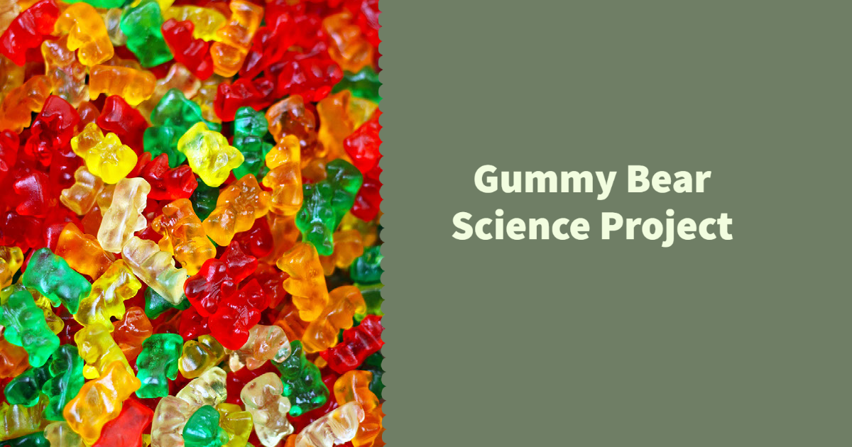 Gummy Bear Science Project