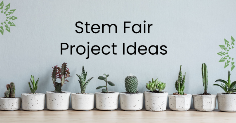 Stem Fair Project Ideas Science Fair Projects stem-fair-project-ideas-science-fair-projects